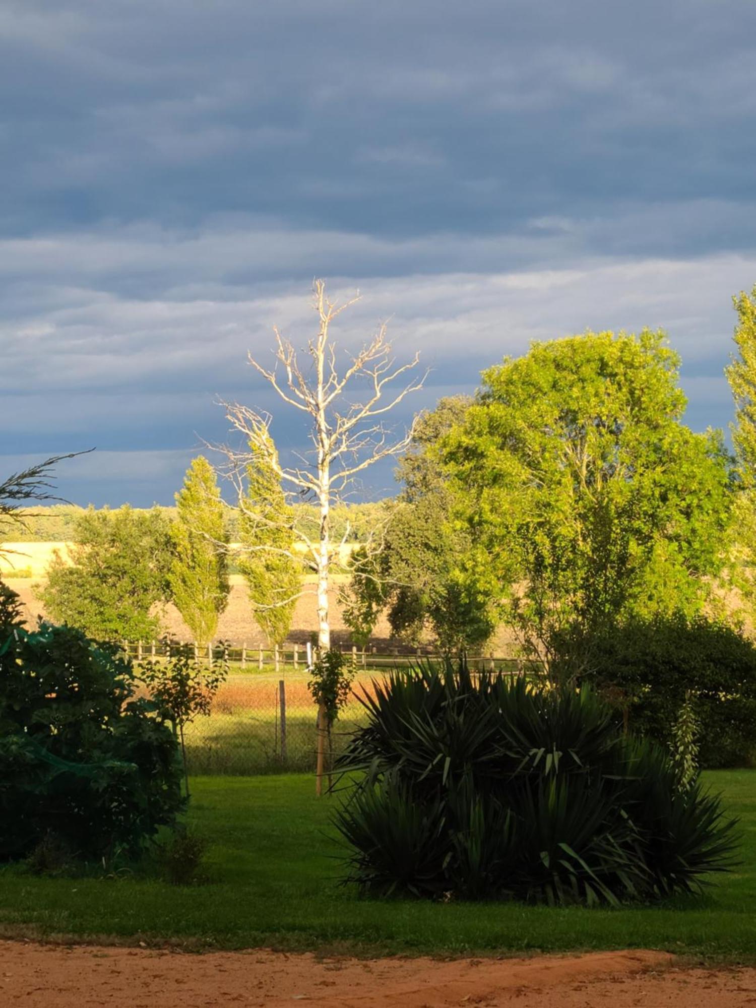 Bed & Breakfast D'hotes Domaine Des Formes